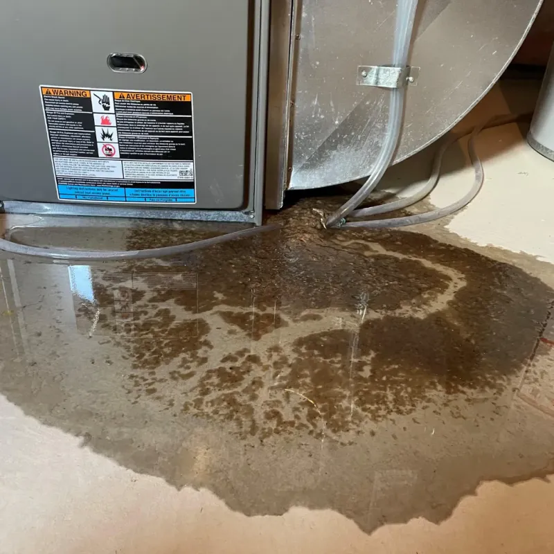 Appliance Leak Cleanup in Barnesville, GA